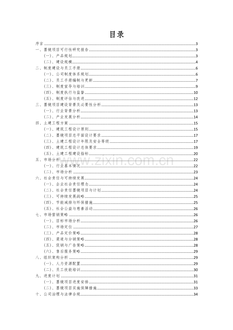 墨镜项目可行性研究报告.docx_第2页