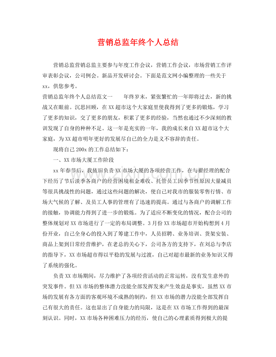 营销总监年终个人总结 .docx_第1页