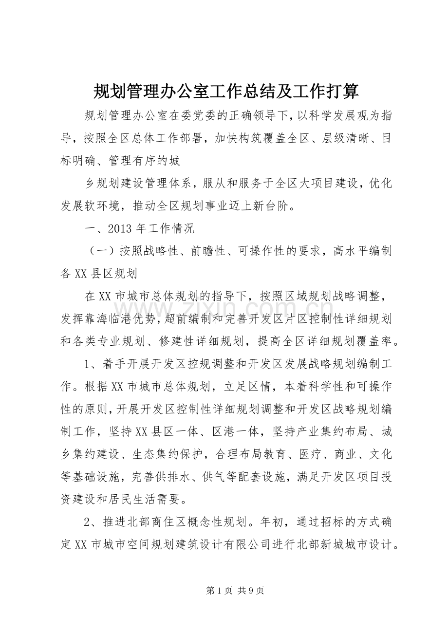 规划管理办公室工作总结及工作打算 .docx_第1页