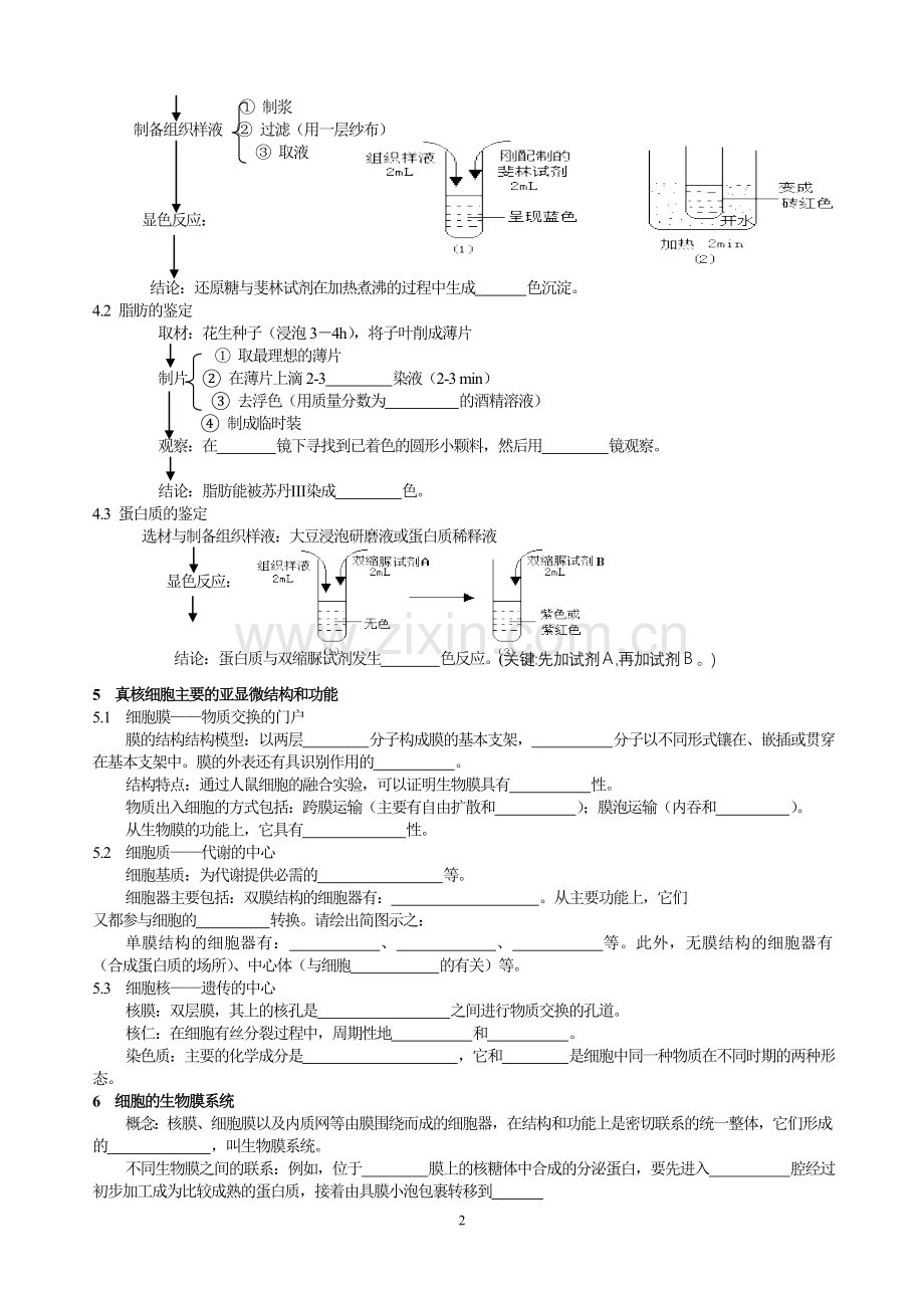 高考生物学知识要点的自我梳理(1).doc_第2页