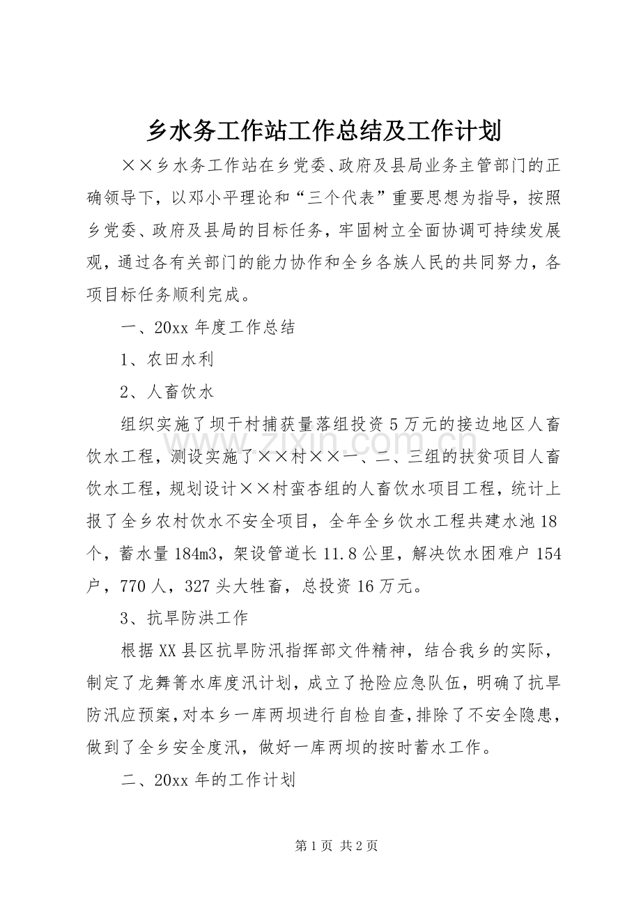 乡水务工作站工作总结及工作计划.docx_第1页