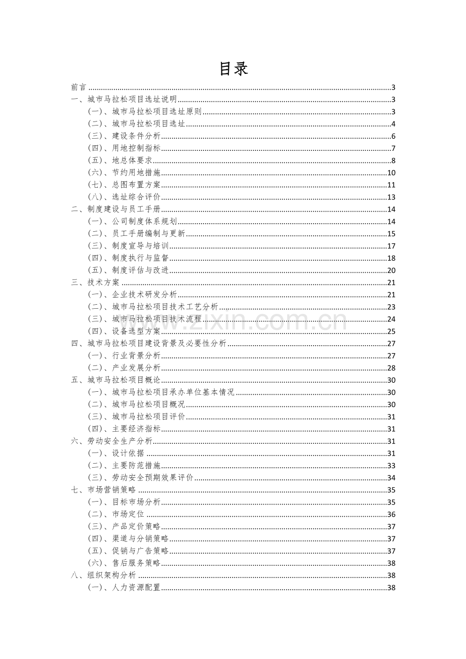 城市马拉松项目可行性研究报告.docx_第2页