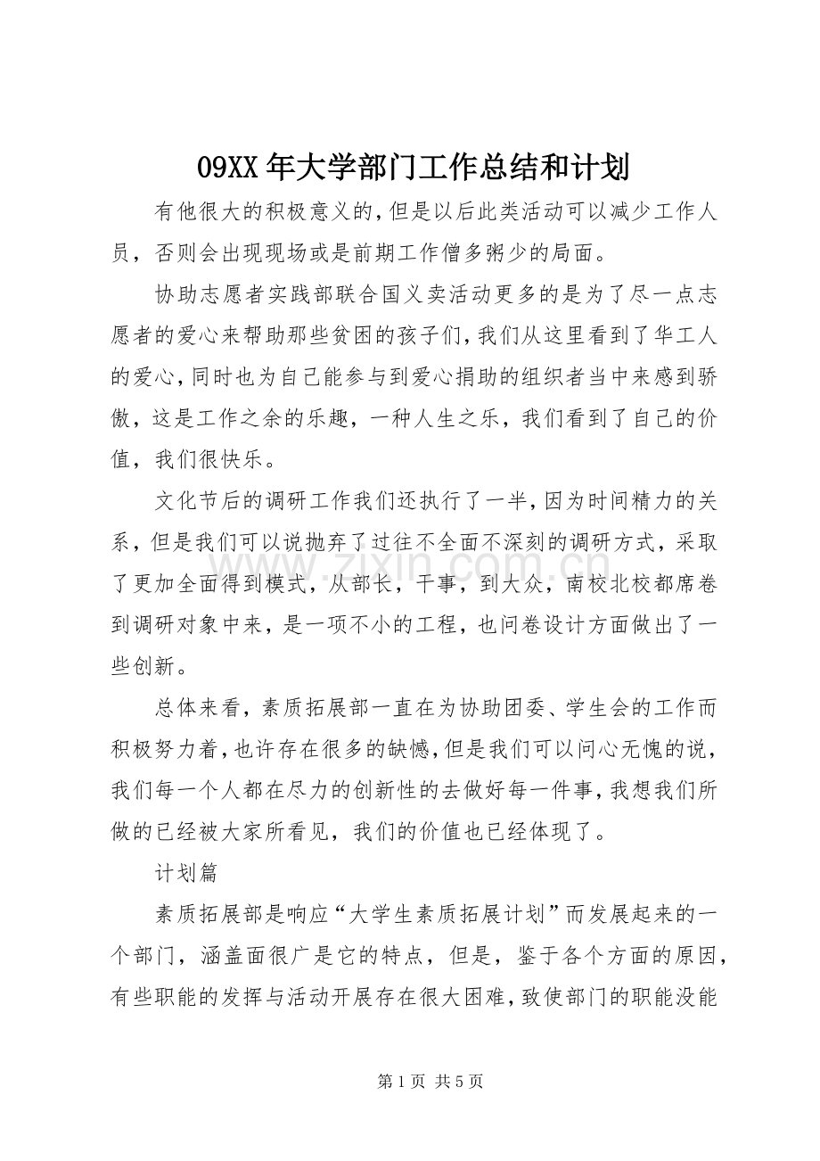 09XX年大学部门工作总结和计划.docx_第1页