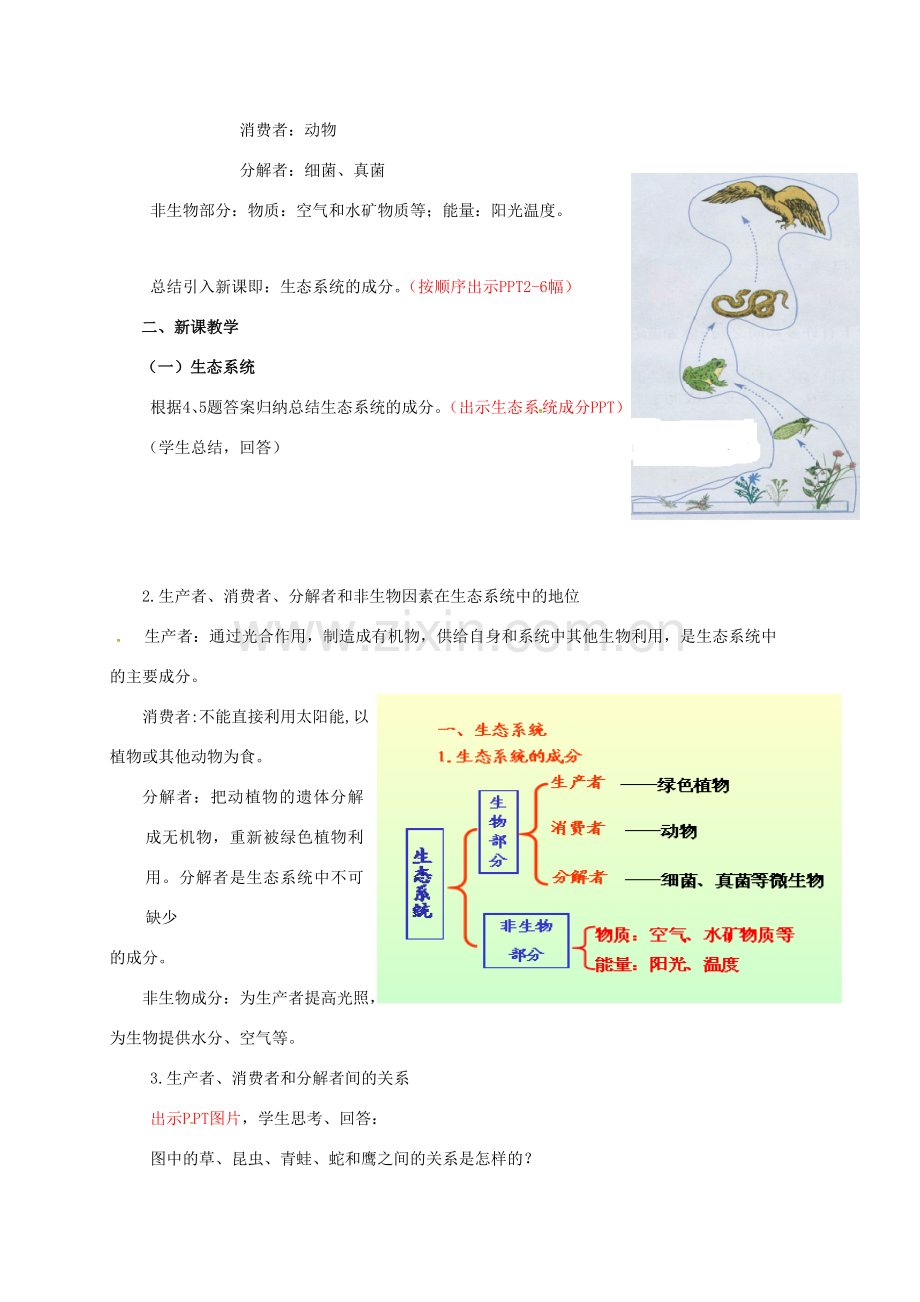 九年级科学下册 2.4 生态系统的结构和功能教案 （新版）浙教版-（新版）浙教版初中九年级下册自然科学教案.doc_第3页