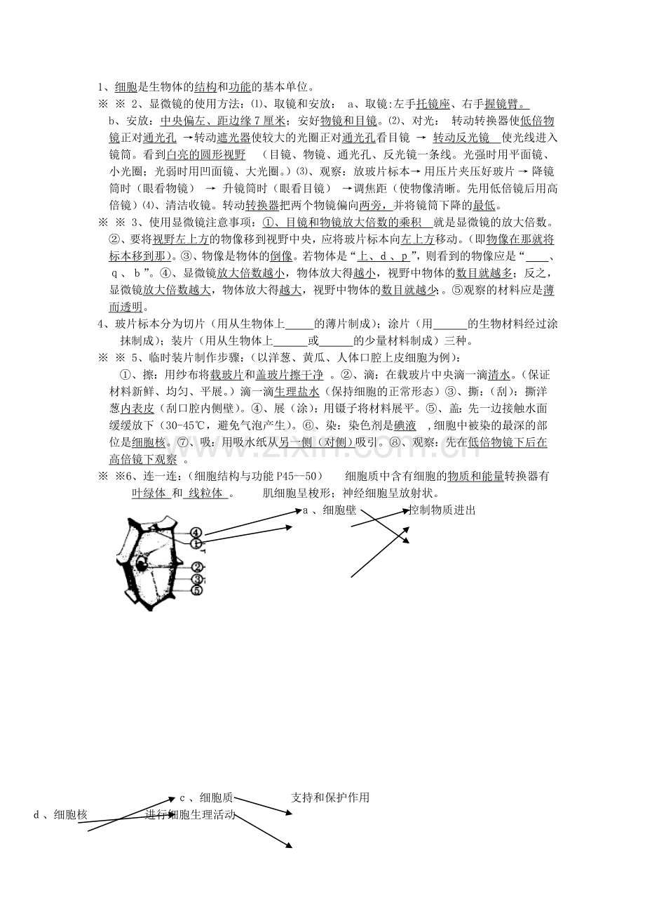 初中生物七八年级全册复习提纲.doc_第3页