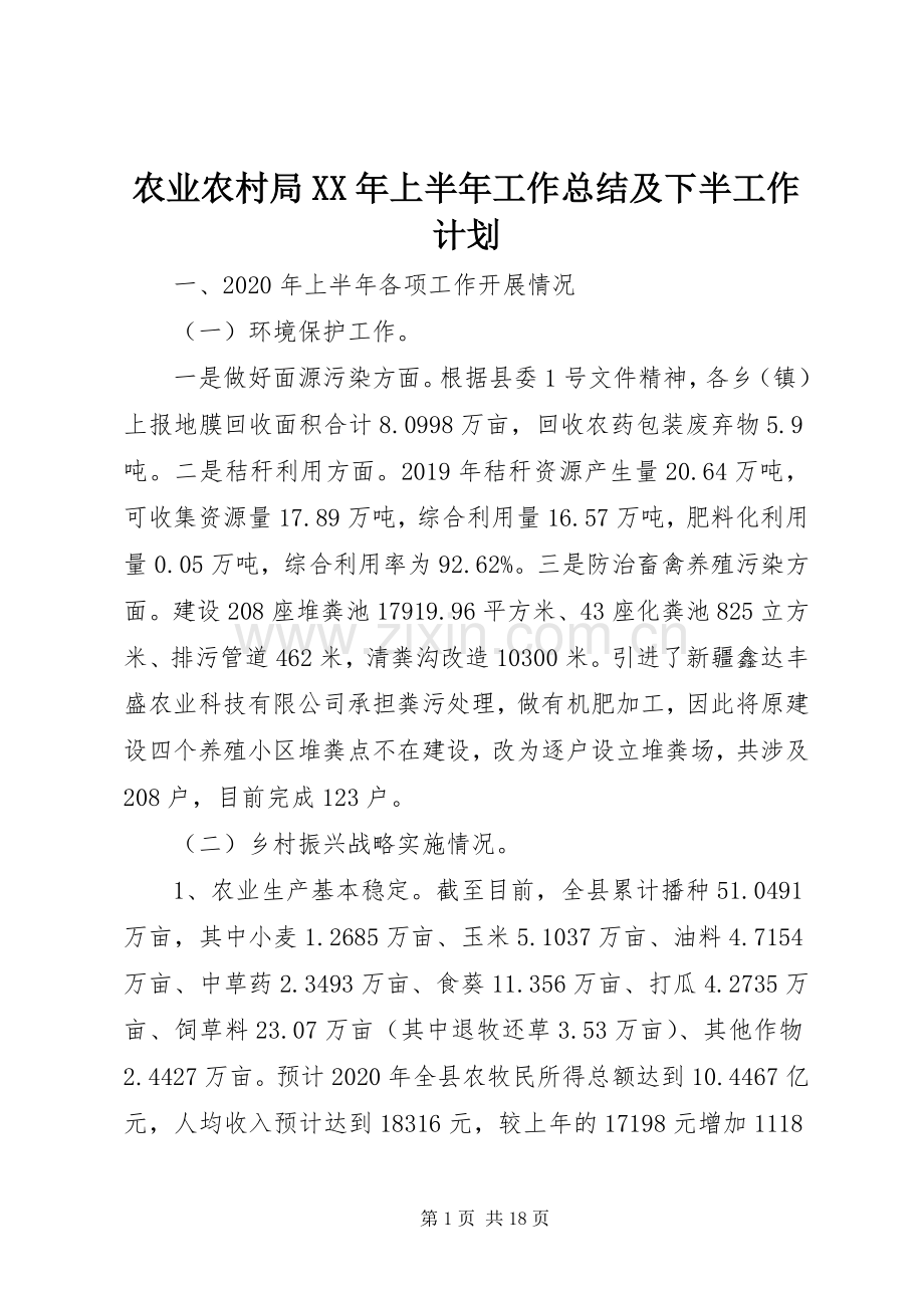 农业农村局XX年上半年工作总结及下半工作计划.docx_第1页