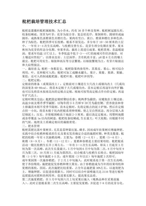 枇杷栽培管理技术汇总.doc