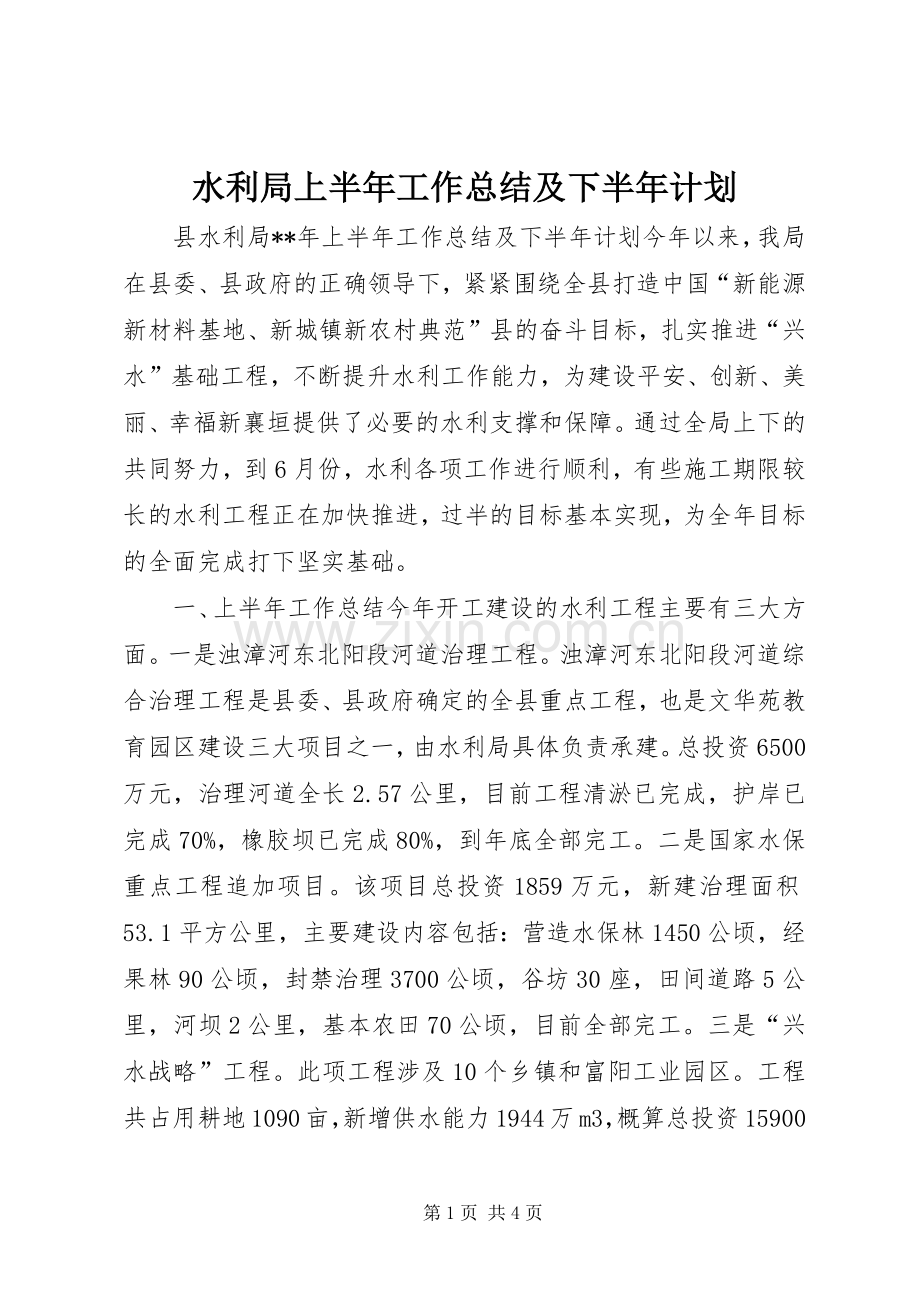 水利局上半年工作总结及下半年计划.docx_第1页