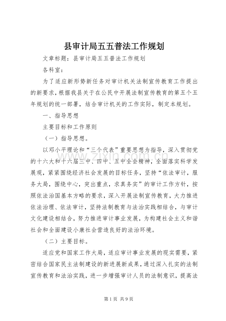 县审计局五五普法工作规划 .docx_第1页