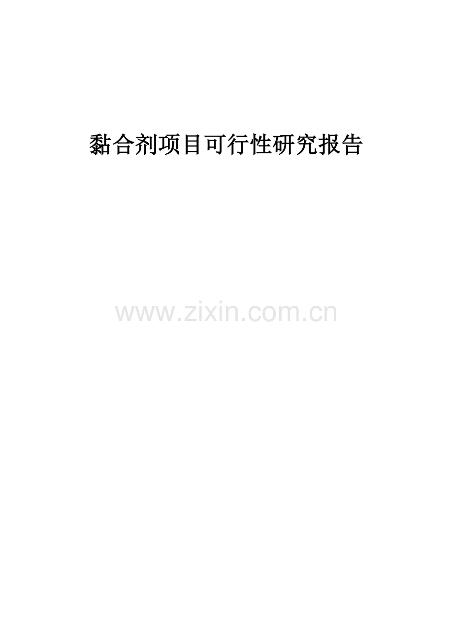 黏合剂项目可行性研究报告.docx_第1页