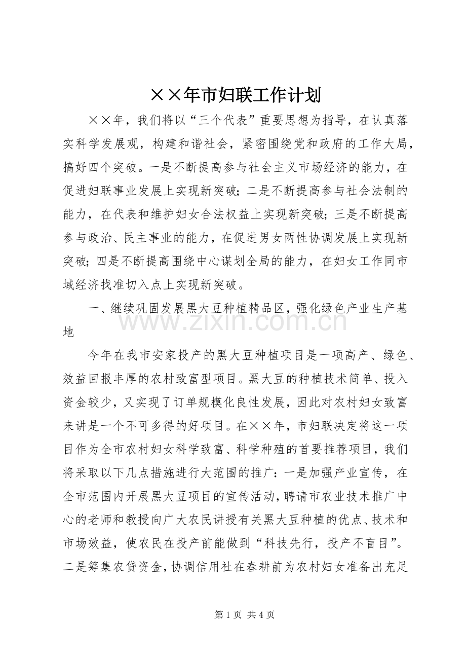 ××年市妇联工作计划.docx_第1页