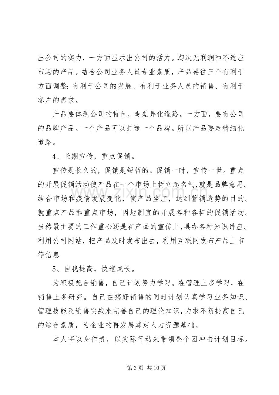 产品销售计划表.docx_第3页