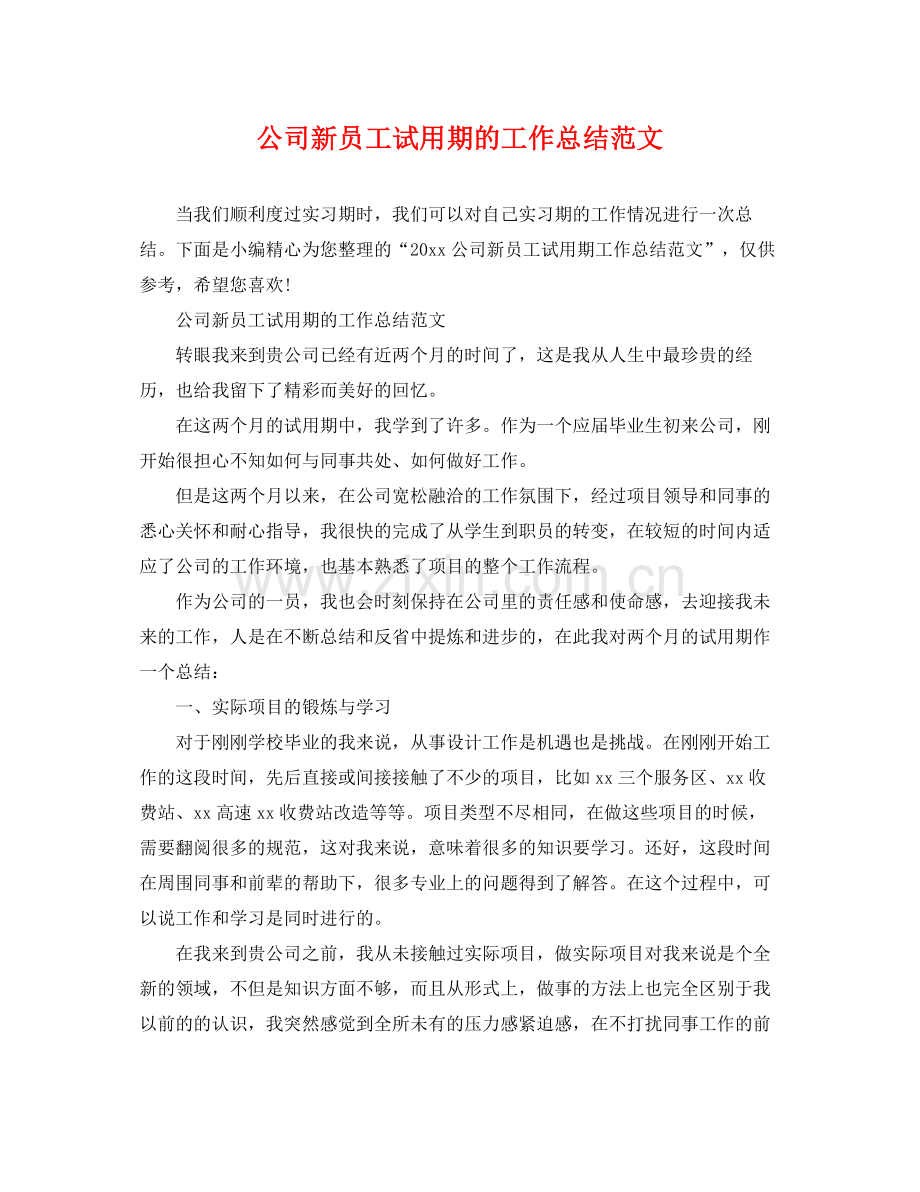 公司新员工试用期的工作总结范文 .docx_第1页