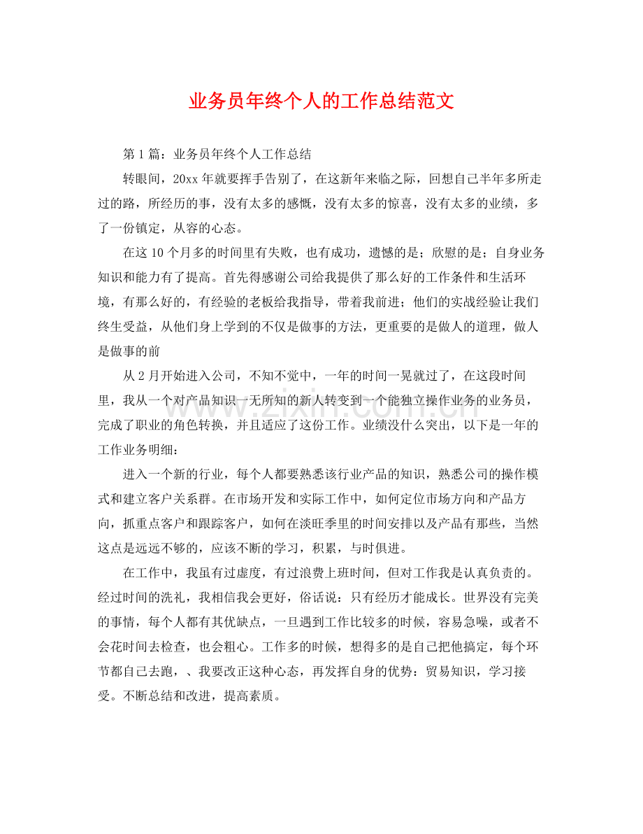 业务员年终个人的工作总结范文 .docx_第1页