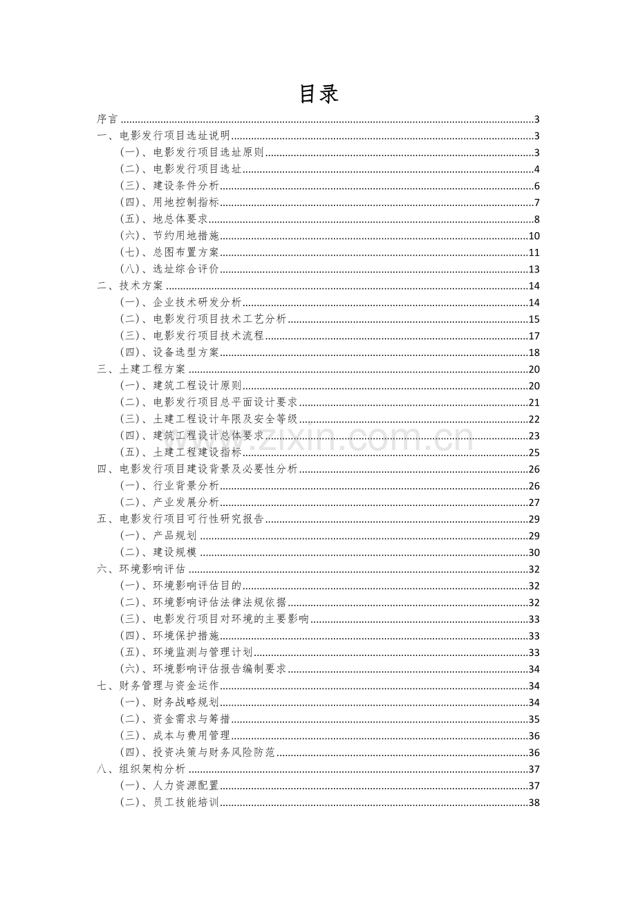 电影发行项目可行性研究报告.docx_第2页