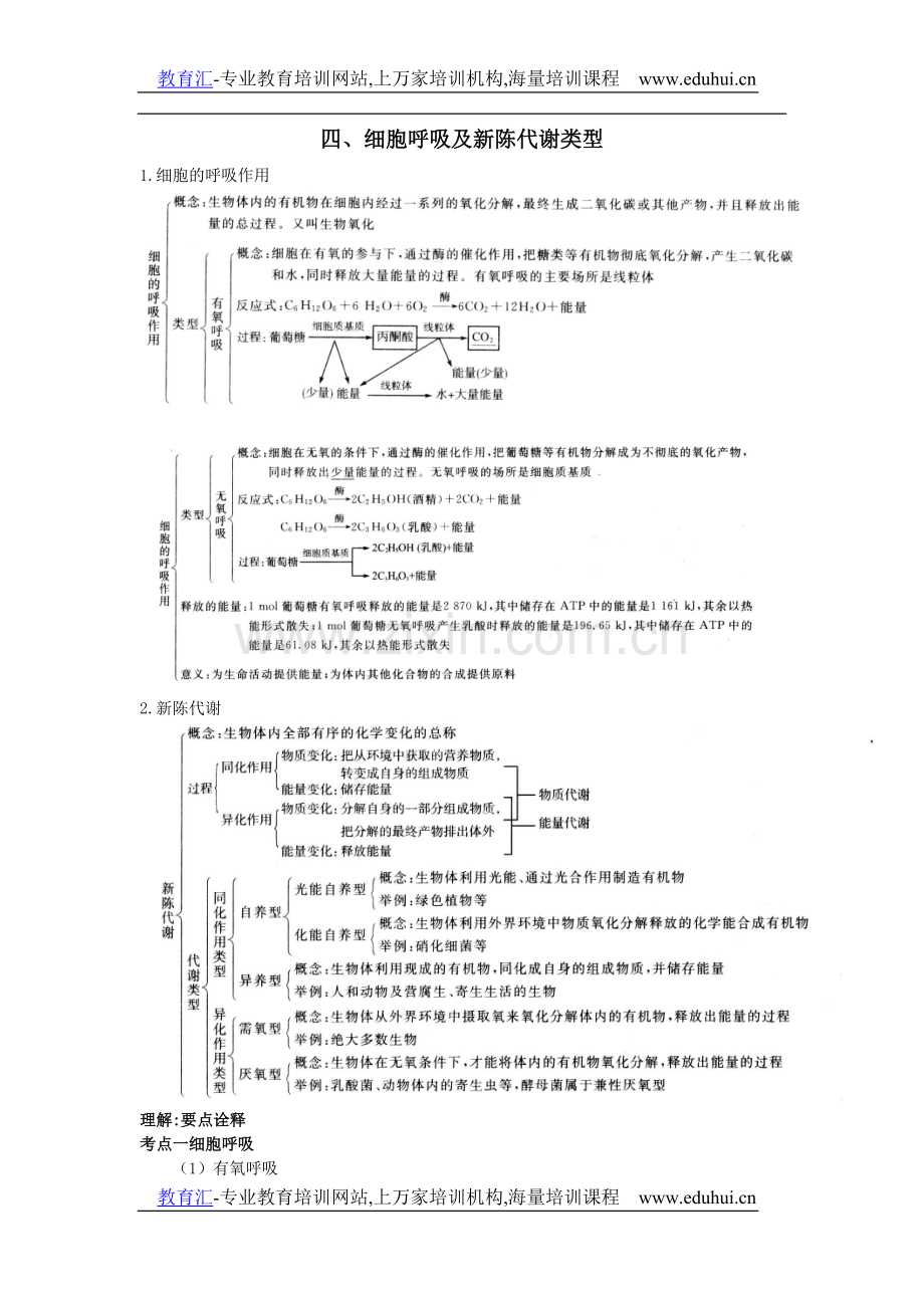 高中总复习第一轮生物第三章第四节细胞呼吸及新陈代谢类型-教育汇www.eduhui.cn.doc_第1页