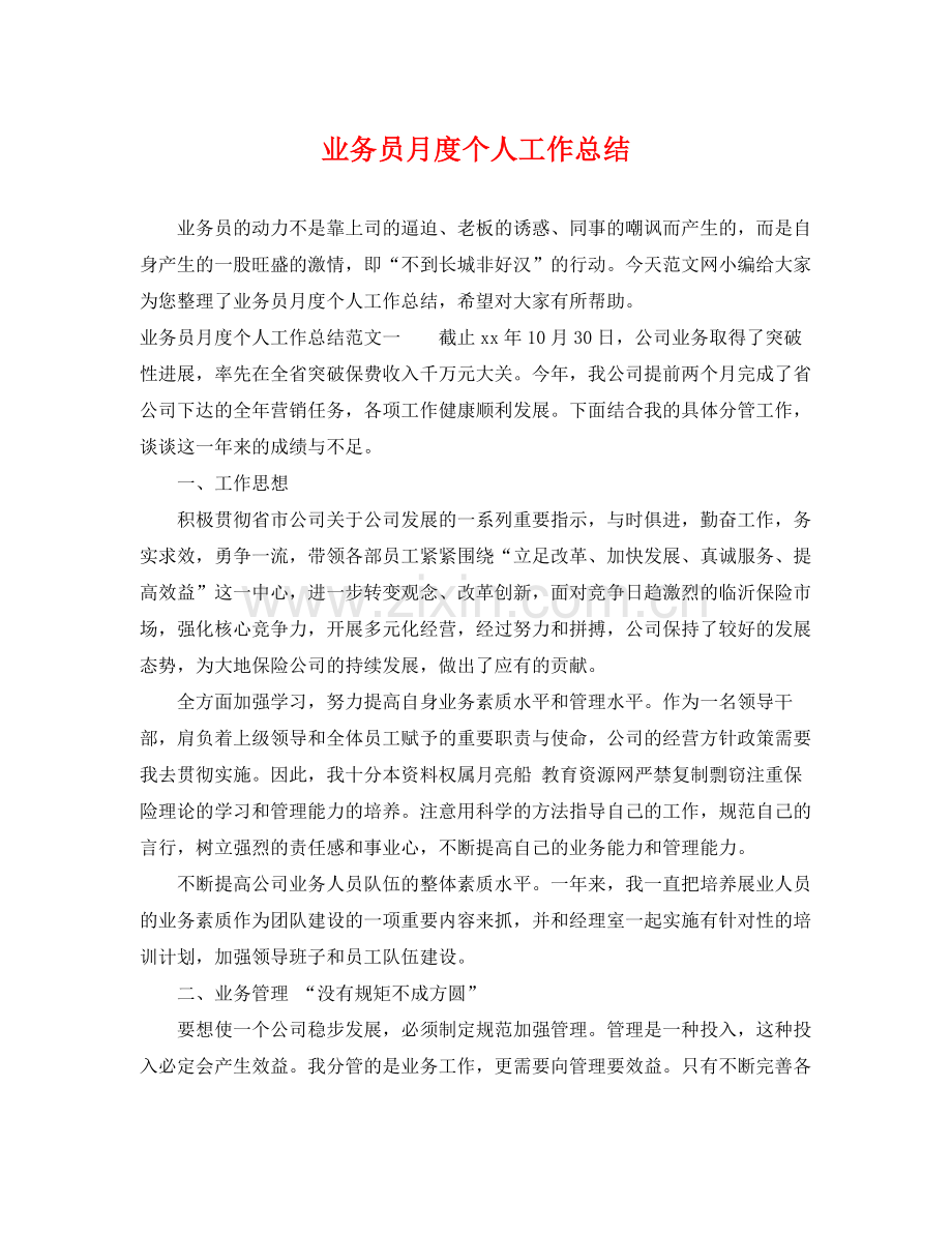 业务员月度个人工作总结 .docx_第1页