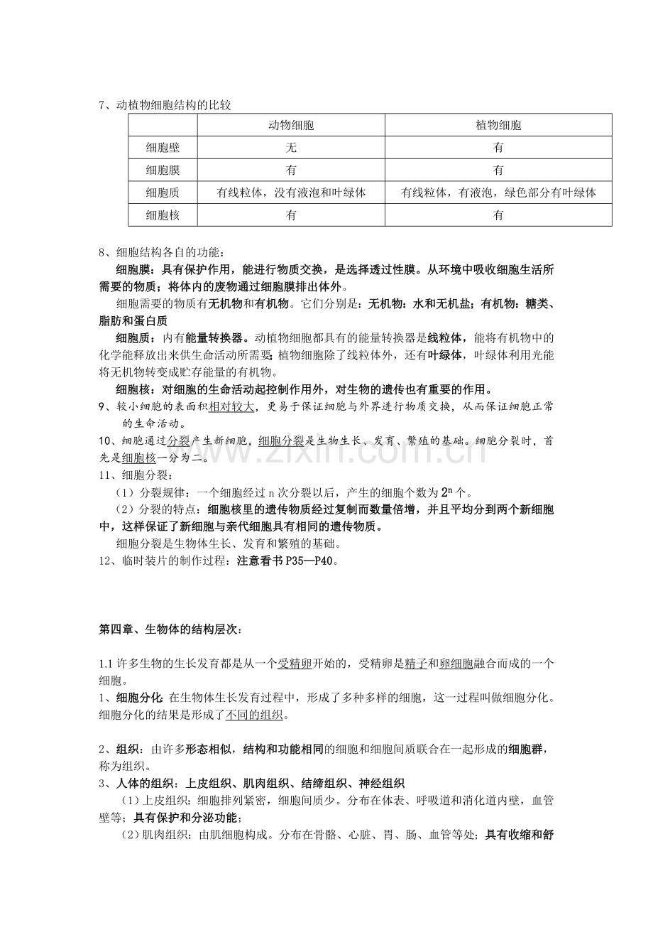 七年级上册生物提纲.doc_第3页