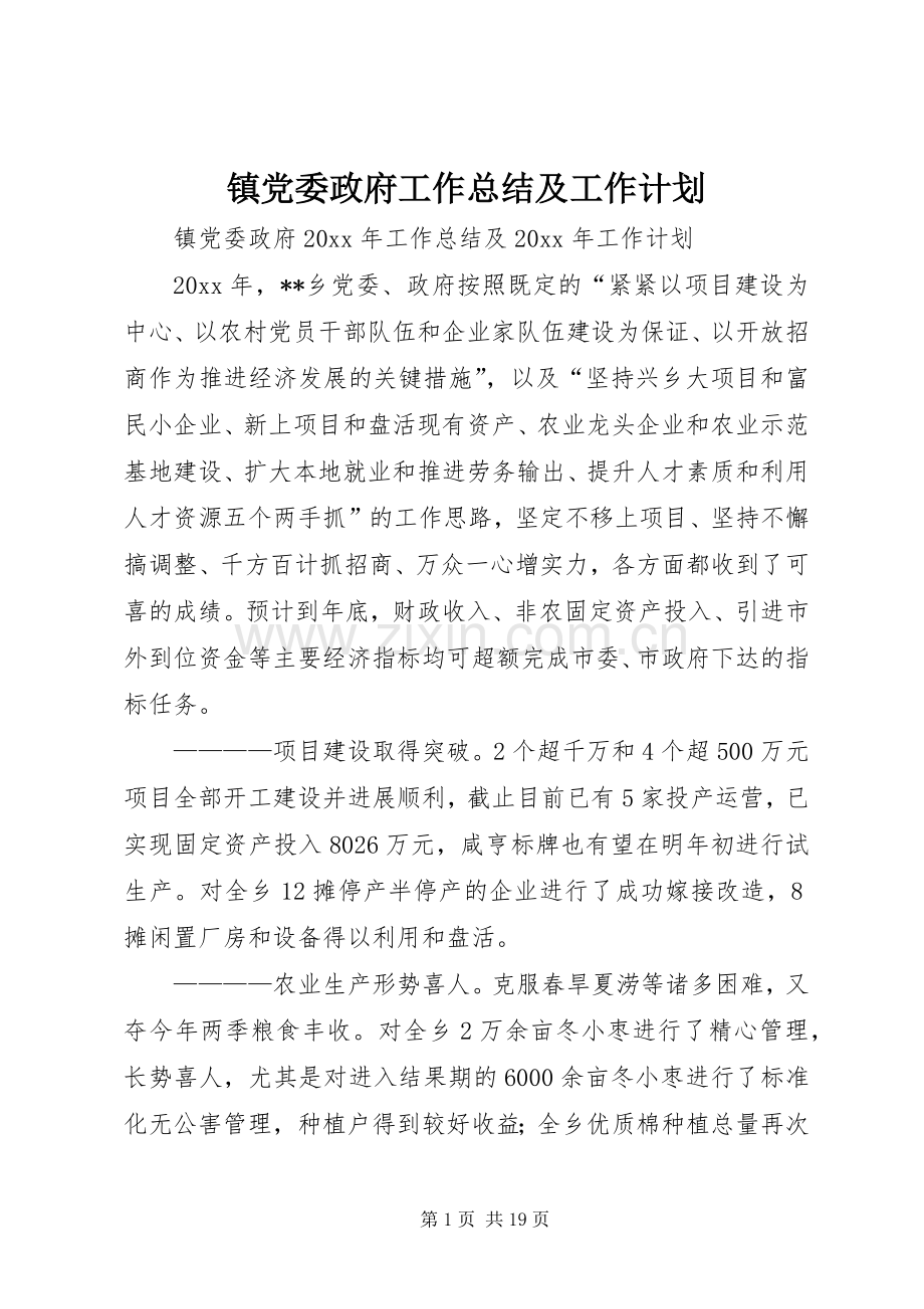 镇党委政府工作总结及工作计划.docx_第1页