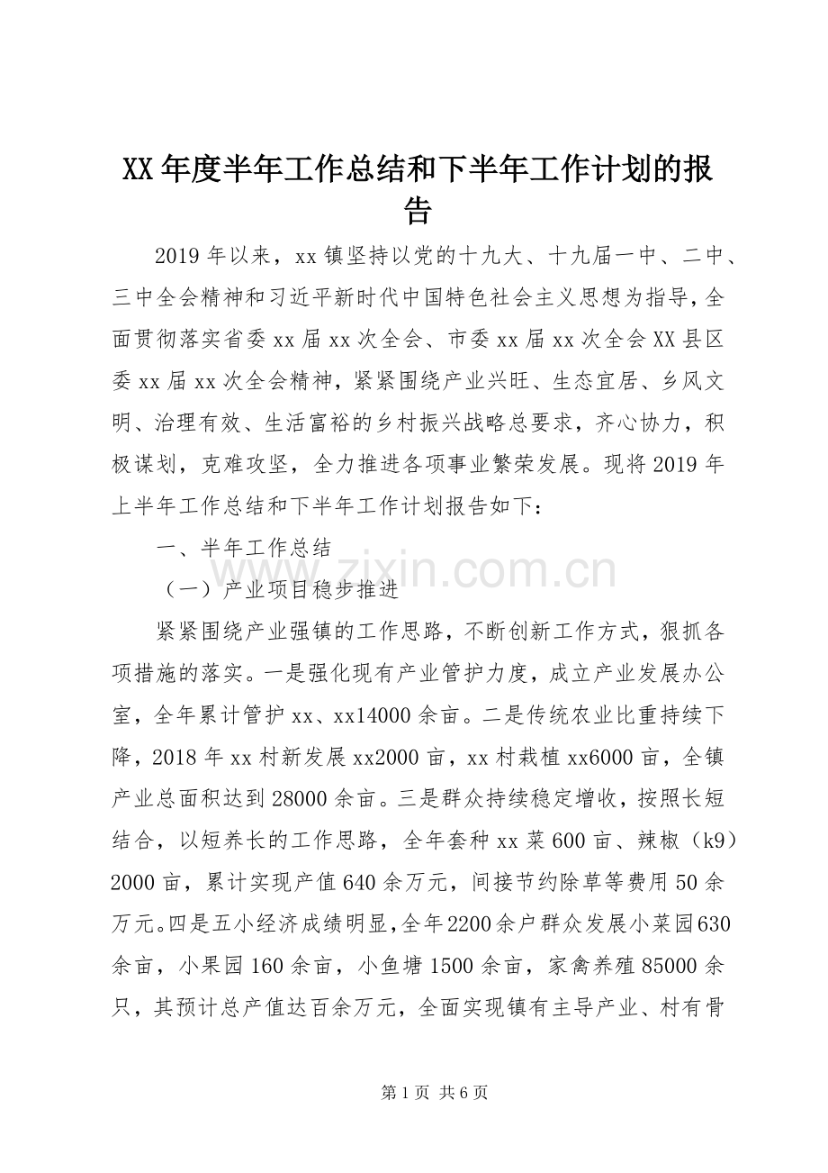 XX年度半年工作总结和下半年工作计划的报告.docx_第1页