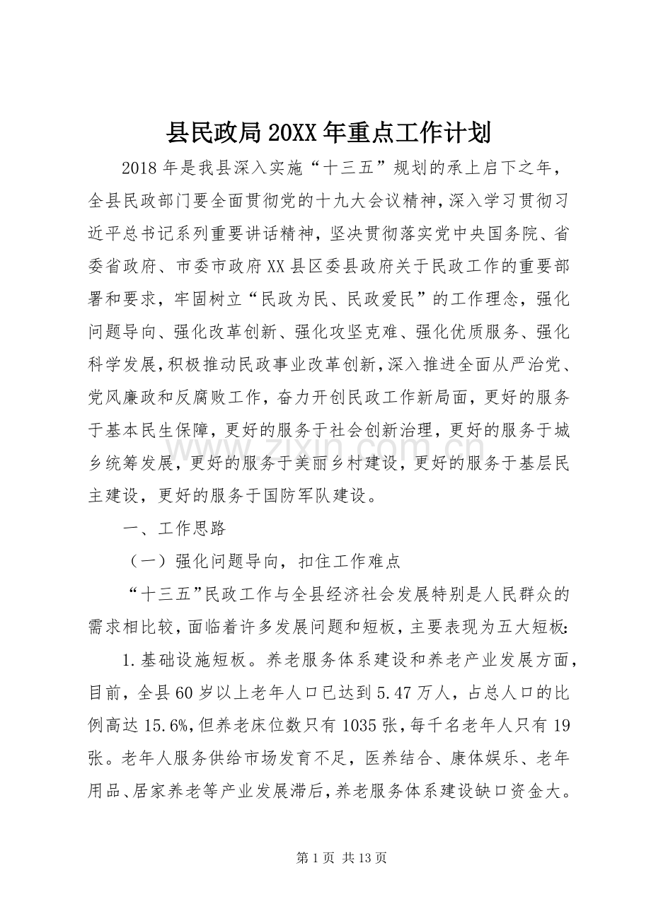 县民政局20XX年重点工作计划.docx_第1页