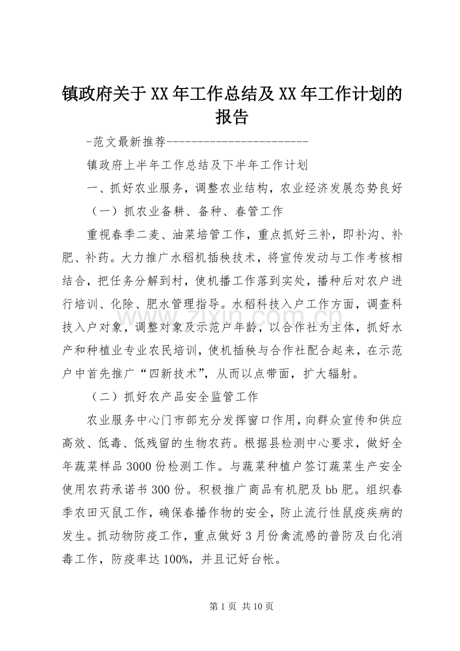 镇政府关于XX年工作总结及XX年工作计划的报告 .docx_第1页