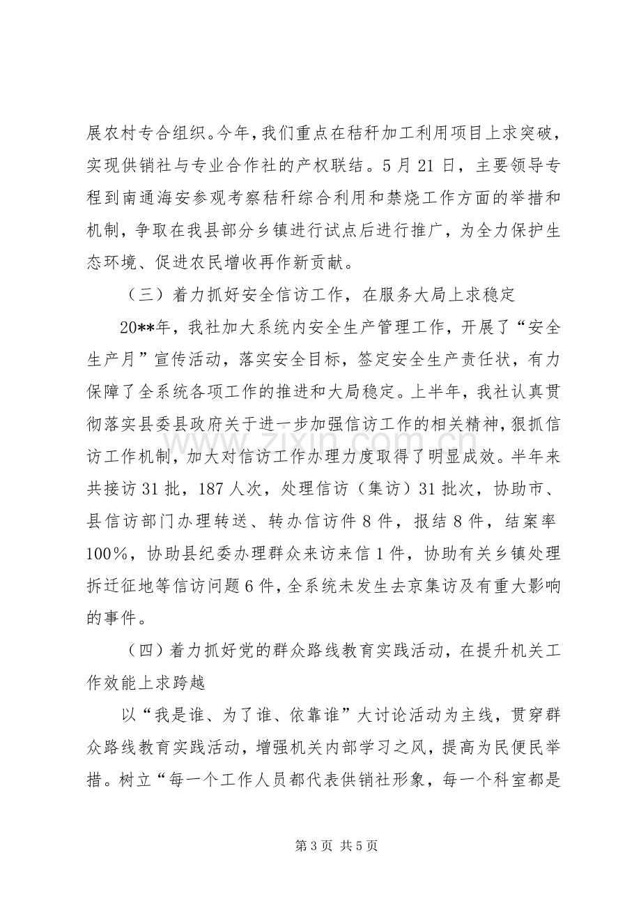 供销社上半年工作总结暨下半年工作计划_1.docx_第3页