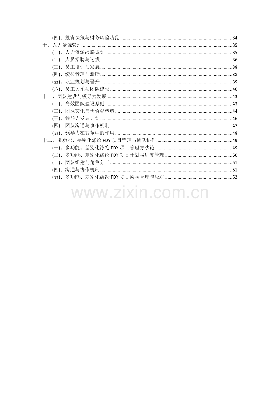 多功能、差别化涤纶FDY项目投资分析及可行性报告.docx_第3页