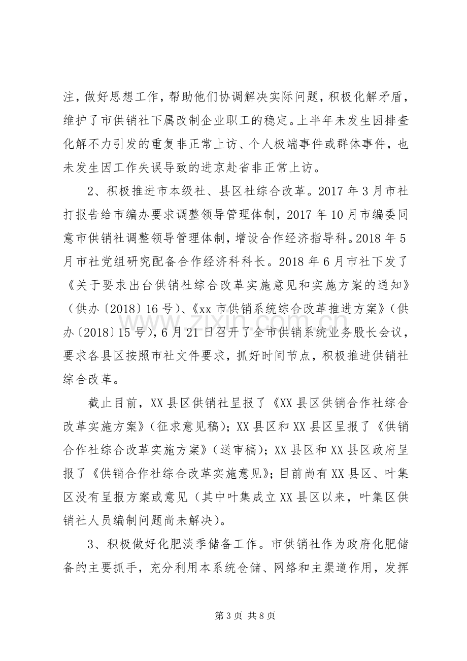 20XX年供销社上半年工作总结及下半年工作安排.docx_第3页