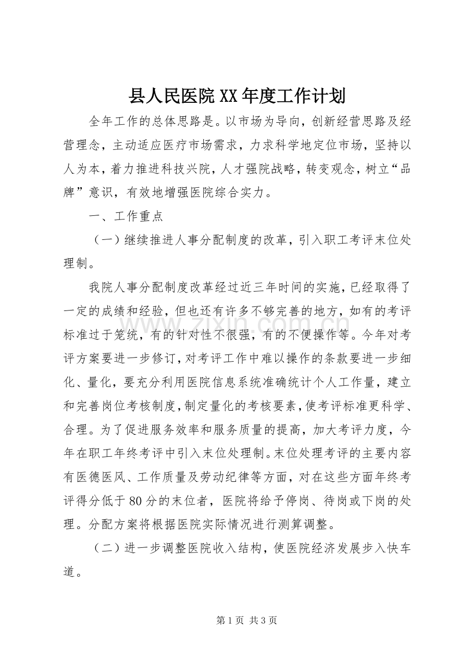 县人民医院XX年度工作计划.docx_第1页