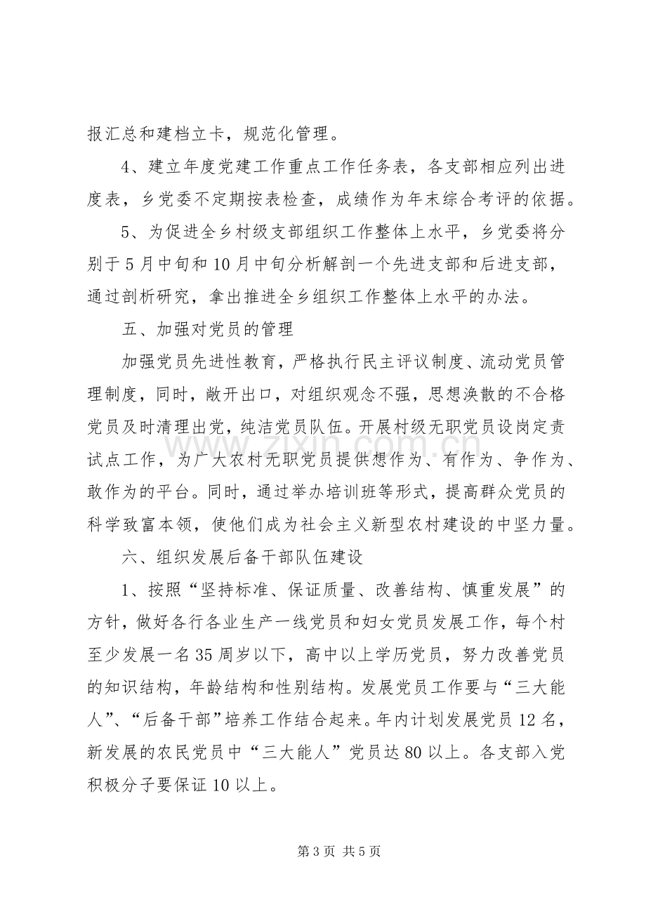 乡（镇）党委组织工作计划.docx_第3页