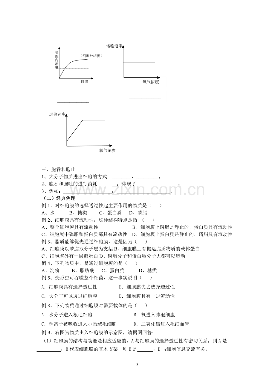 第四章细胞物质输入及输出(原创).doc_第3页