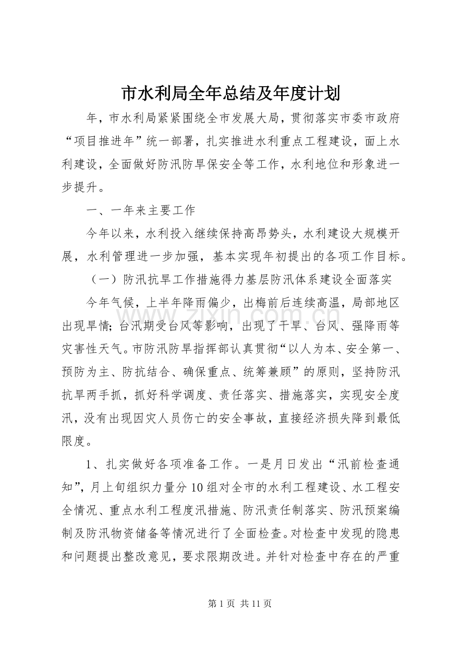 市水利局全年总结及年度计划.docx_第1页