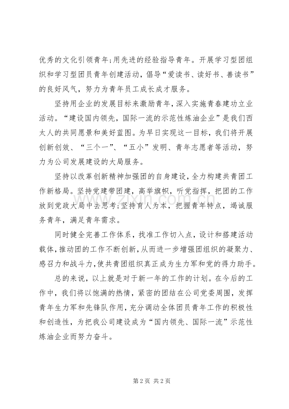 公司团委XX年工作计划.docx_第2页