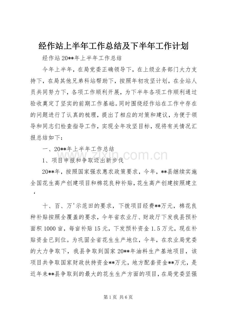 经作站上半年工作总结及下半年工作计划 .docx_第1页