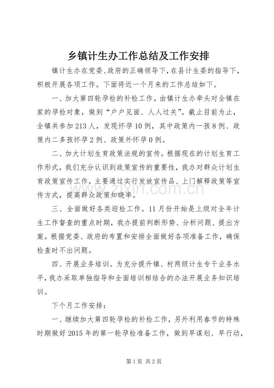 乡镇计生办工作总结及工作安排.docx_第1页