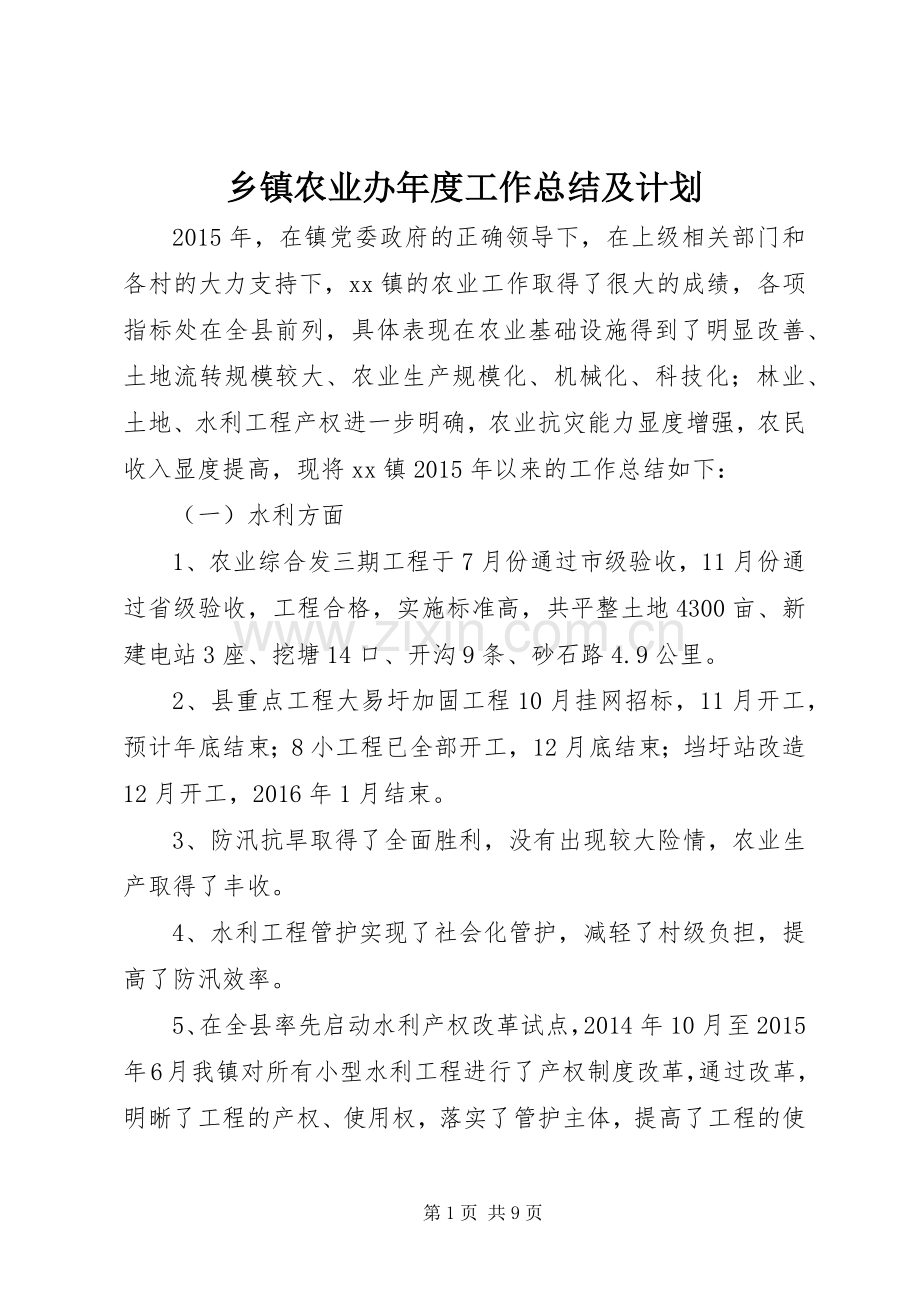 乡镇农业办年度工作总结及计划.docx_第1页