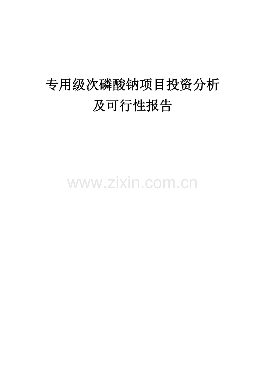 专用级次磷酸钠项目投资分析及可行性报告.docx_第1页