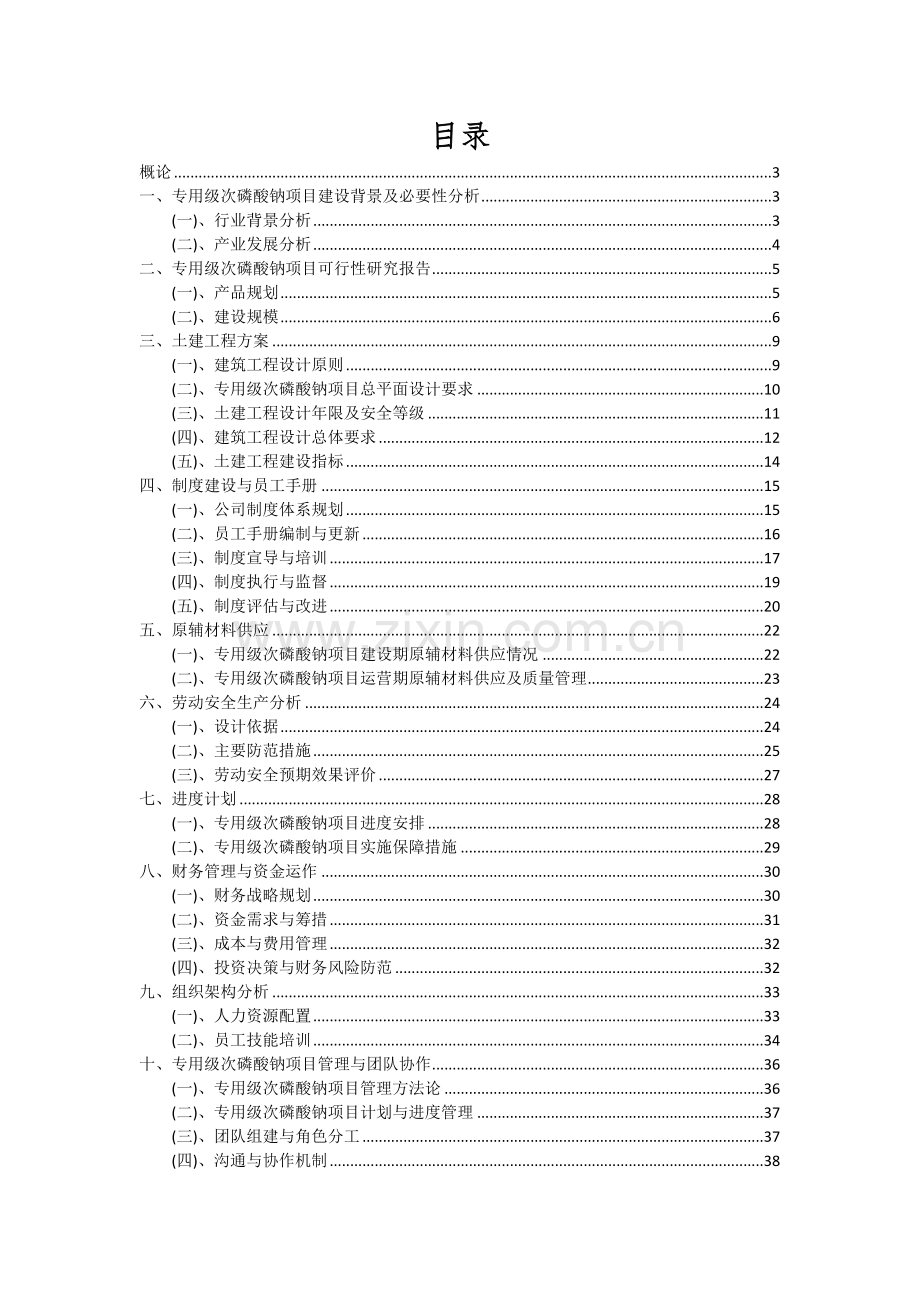 专用级次磷酸钠项目投资分析及可行性报告.docx_第2页