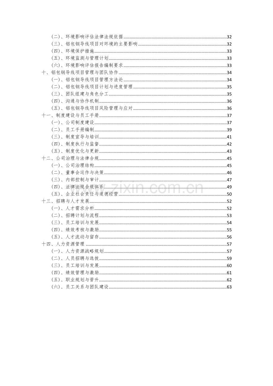 铝包钢导线项目投资分析及可行性报告.docx_第3页