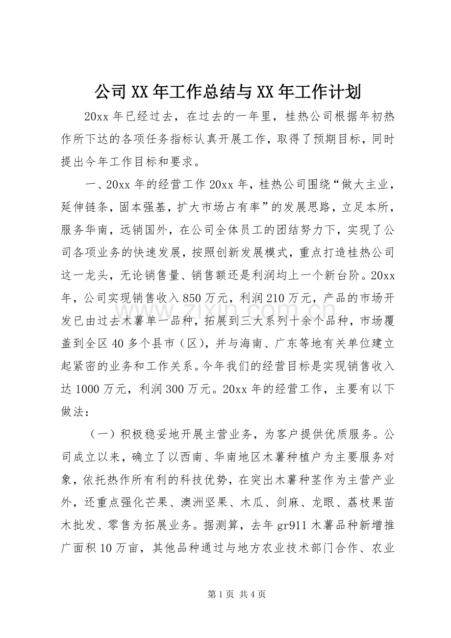 公司XX年工作总结与XX年工作计划.docx_第1页