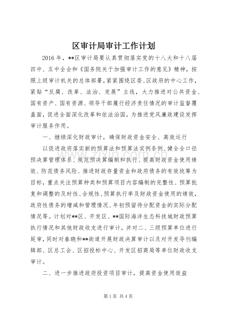 区审计局审计工作计划.docx_第1页