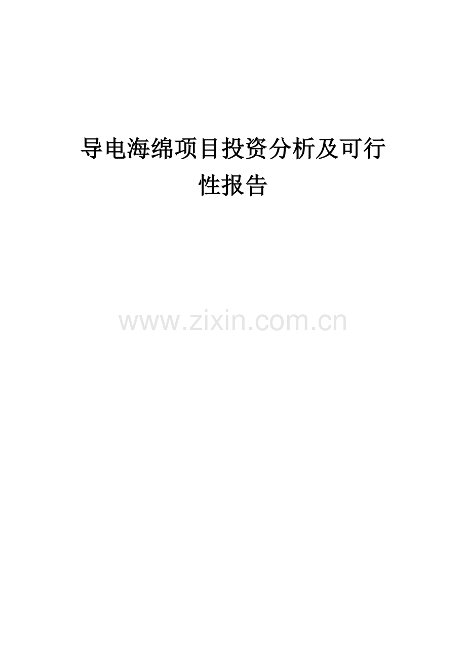 导电海绵项目投资分析及可行性报告.docx_第1页