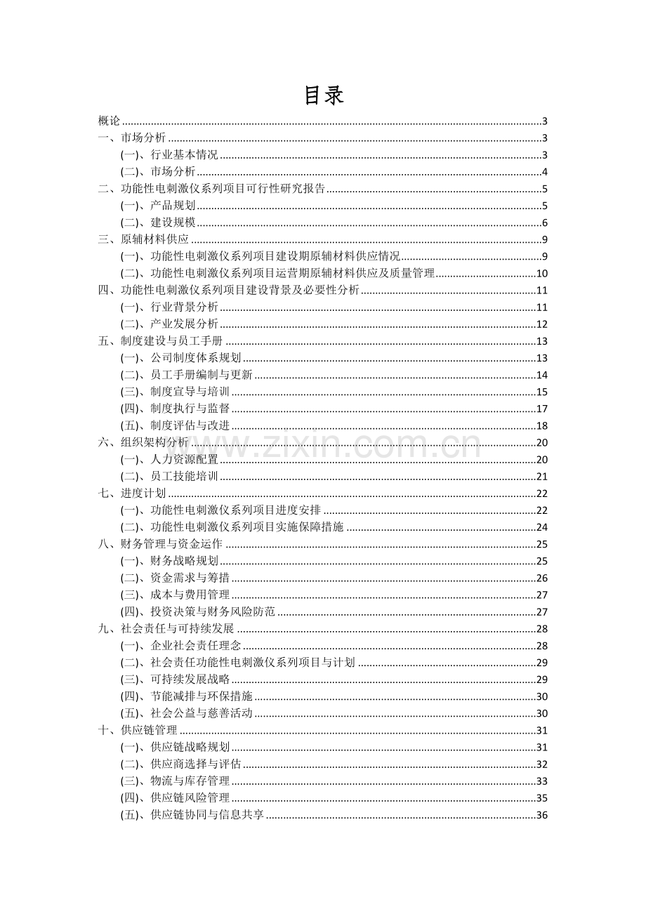 功能性电刺激仪系列项目深度研究分析报告.docx_第2页