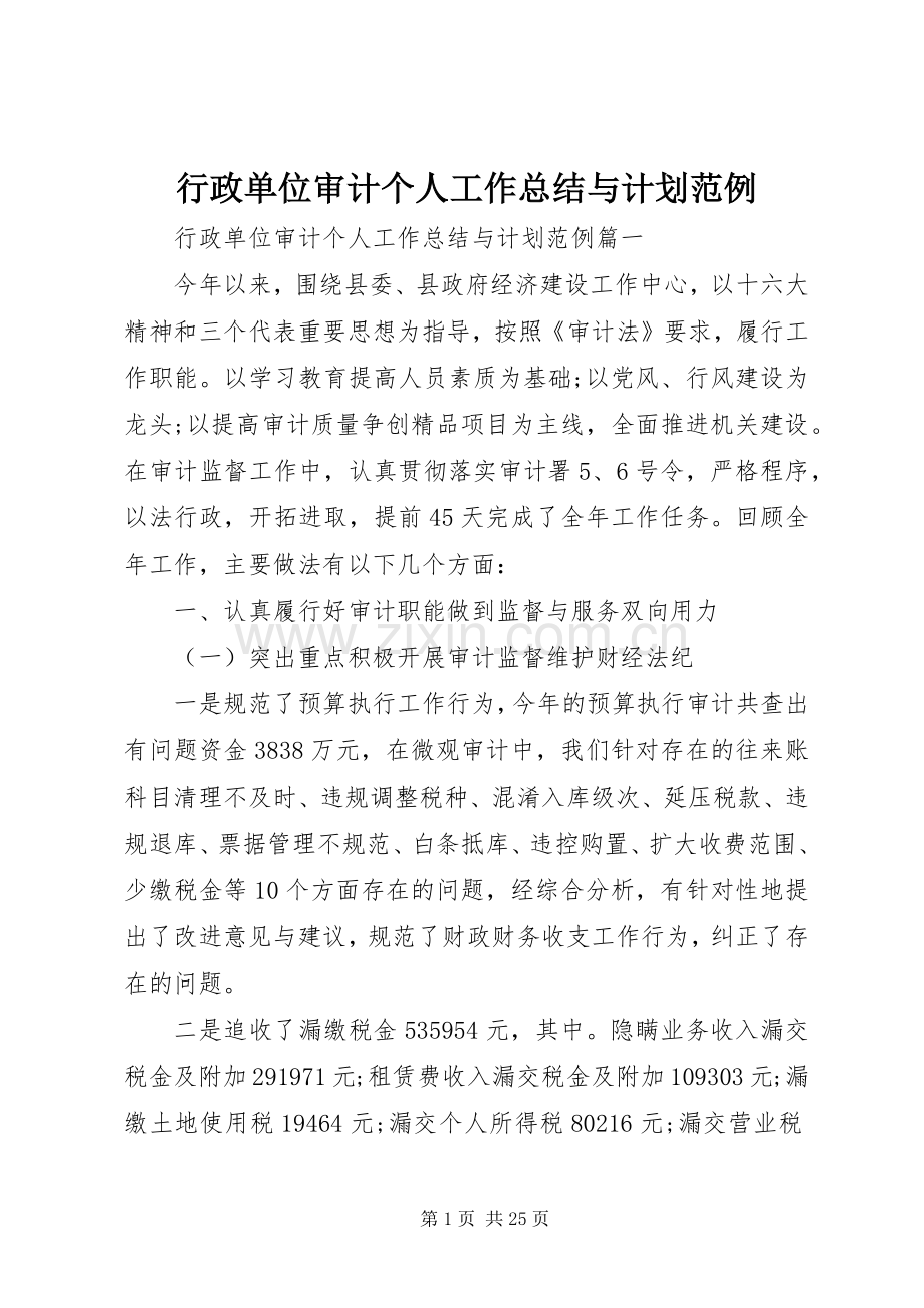 行政单位审计个人工作总结与计划范例.docx_第1页