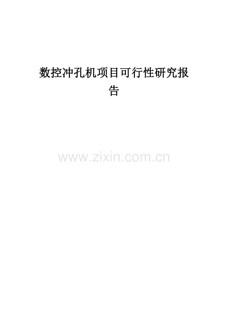 数控冲孔机项目可行性研究报告.docx_第1页