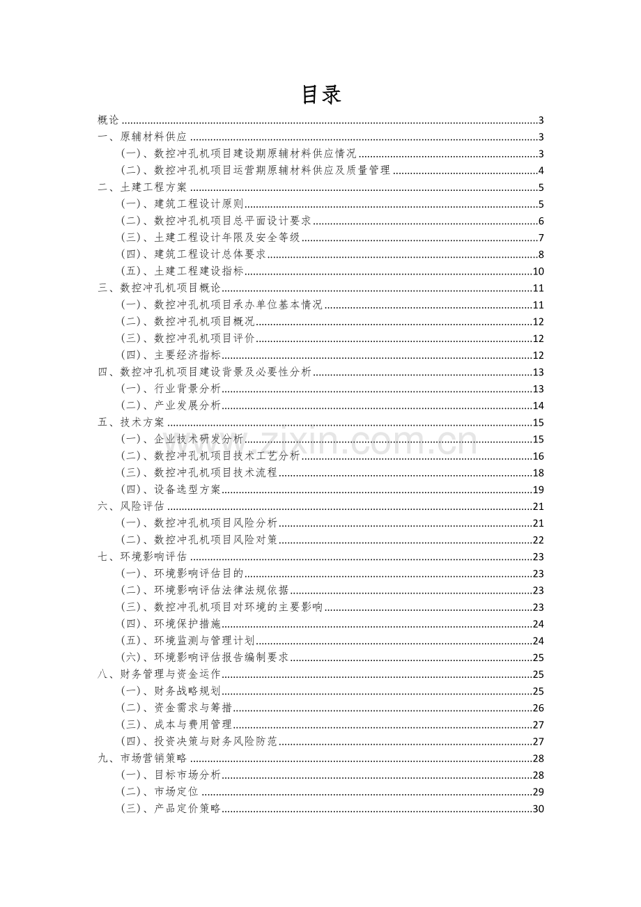 数控冲孔机项目可行性研究报告.docx_第2页