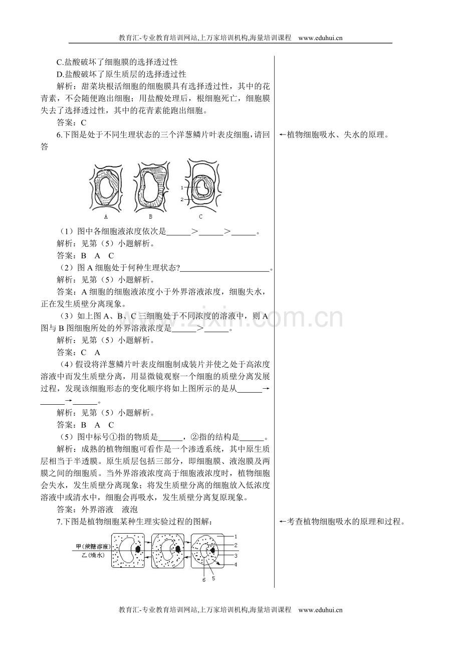 人教新课标高中生物必修一课后测试题（物质跨膜运输的实例）.doc_第2页