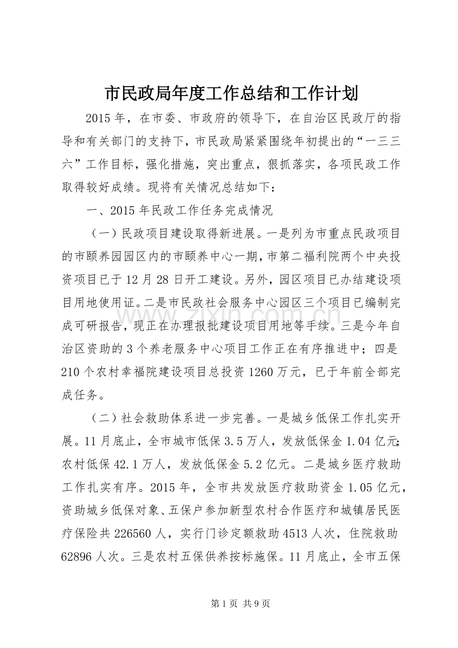 市民政局年度工作总结和工作计划.docx_第1页