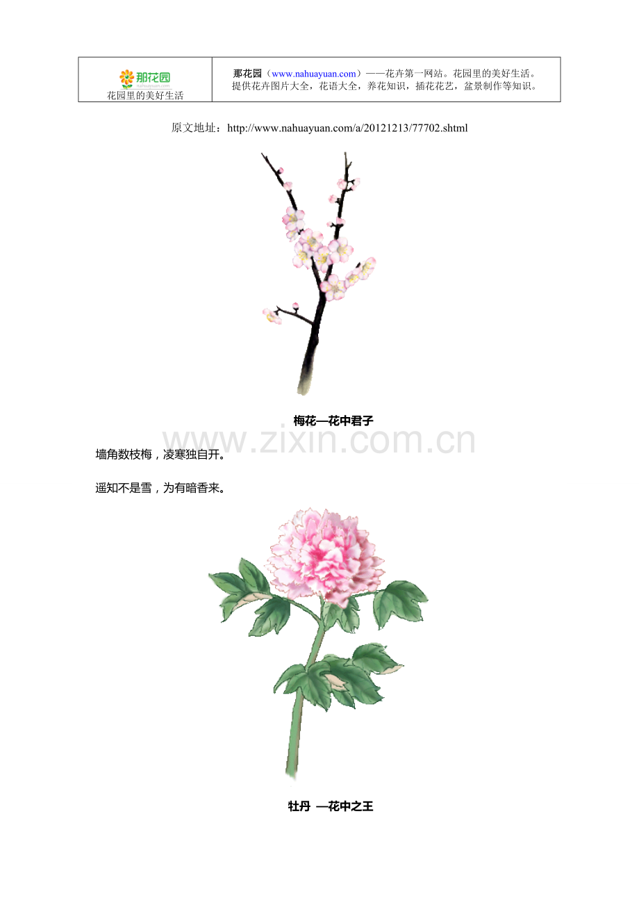 中国十大名花花诗欣赏.doc_第1页